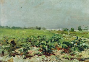Celeyran, näkymä viinitarhalle, 1880 tekijältä Henri de Toulouse Lautrec